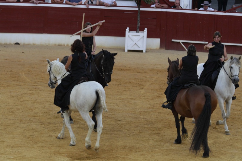 VICTOIRE "La Loutre", ONC crois Andalou-Percheron - Page 9 Web_tr16