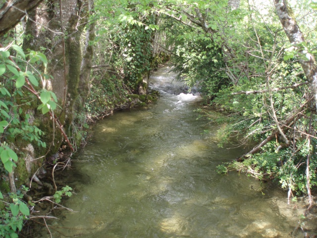 De l'eau dans mes ruisseaux  P4270016