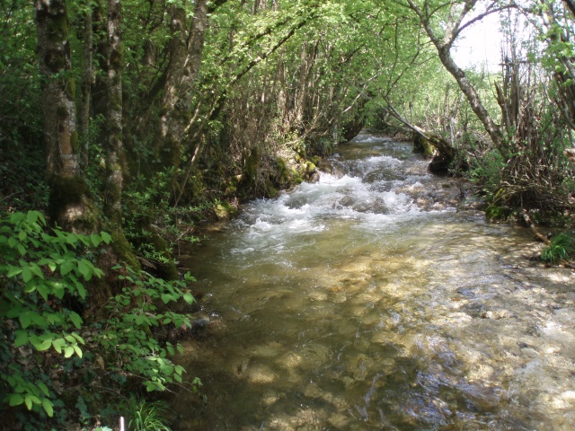 De l'eau dans mes ruisseaux  P4270018