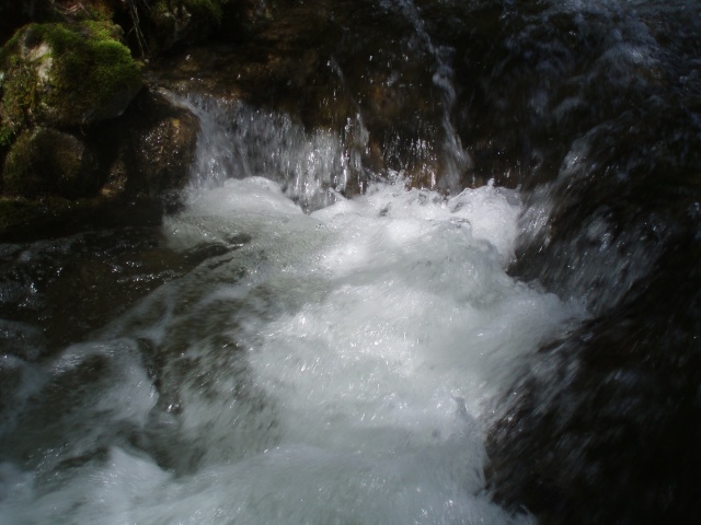 De l'eau dans mes ruisseaux  P4270019