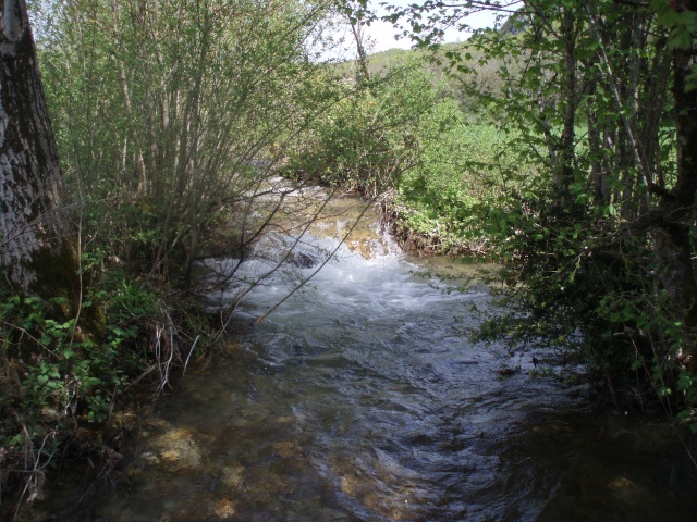 De l'eau dans mes ruisseaux  P4270020