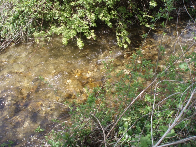 De l'eau dans mes ruisseaux  P4270025