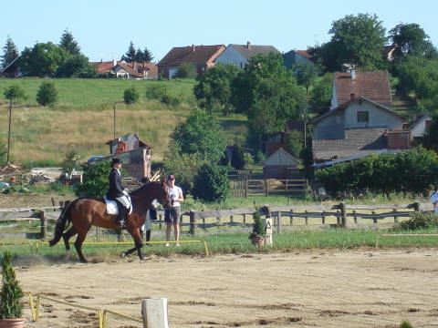 31.5.2008., dresura, Bjelovar Tuuuuu50