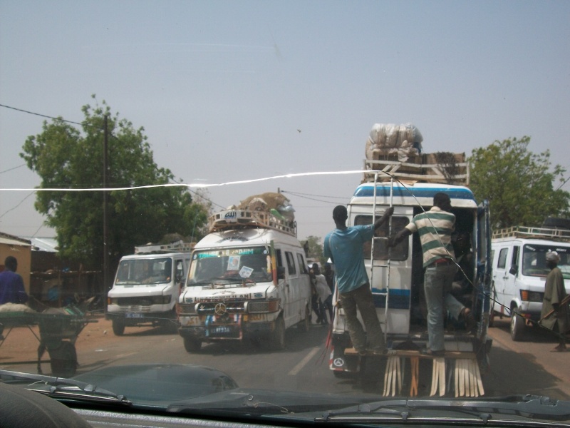 petite chasse au Sénégal  - Page 4 101_0814