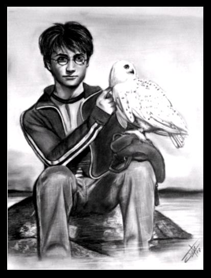 Harry Potter Harryp10