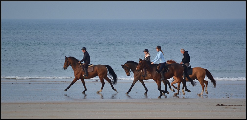 Trot face à la mer Dsc_0028