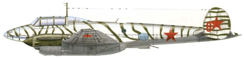 PETLYAKOV Pe-2 Série 110 BAP Flotte du Nord Hiver 1941-42 (Bilek) 1_2410