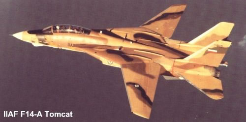 [Fujimi] 1/72 - Grumman F-14A  Ali-Cat (Tomcat)   F14ato10