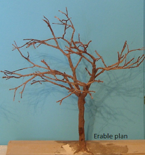 La fabrication d'arbres en ficelle Erable13