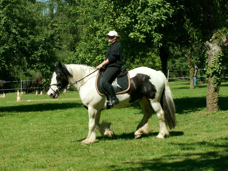 meeting irishcob 2008 - Page 8 Pict0046