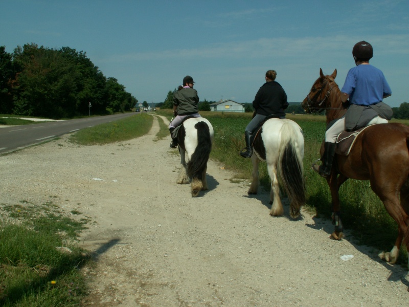 meeting irishcob 2008 - Page 8 Pict0132