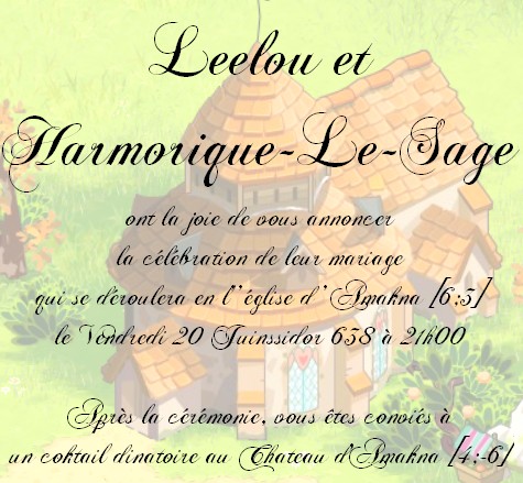 Mariage de Leelou et d'Harmo Faire_12
