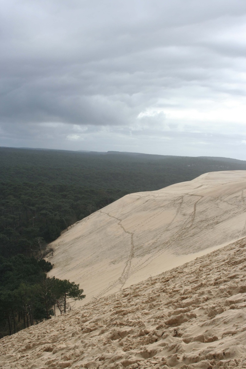 la dune du Pyla Dune_d11