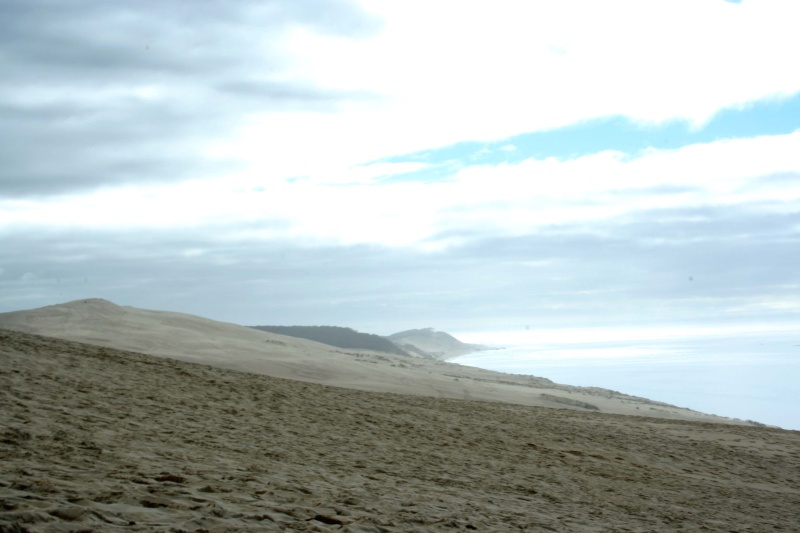 la dune du Pyla Dune_d13