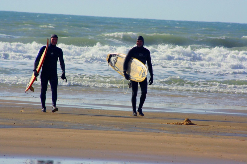 surfeurs Surfeu11