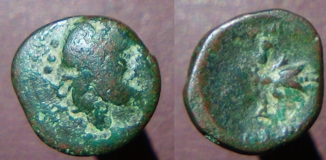 Petit bronze grec (édit : résolu, c'est Petelia) Grecqu10