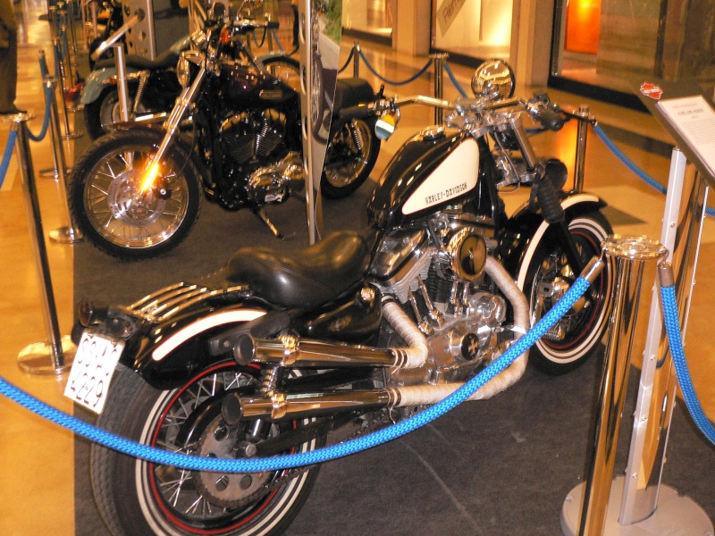 Harley Davidson P1010045