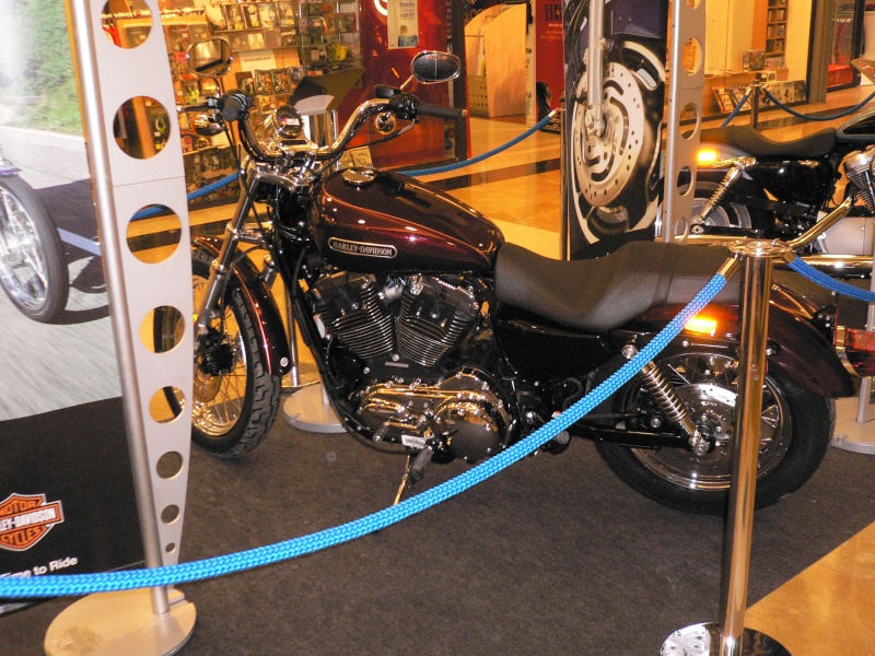 Harley Davidson P1010046