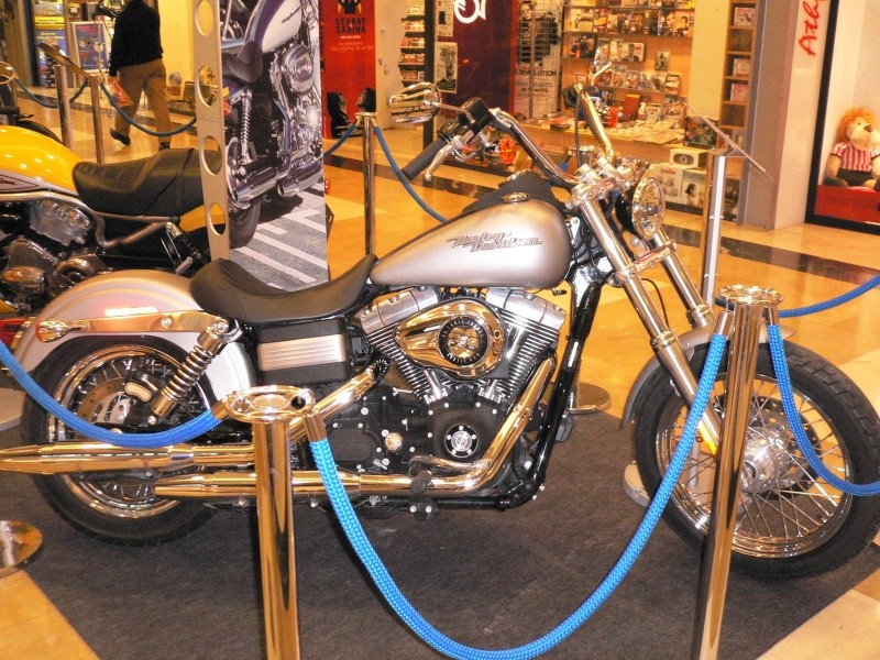 Harley Davidson P1010049