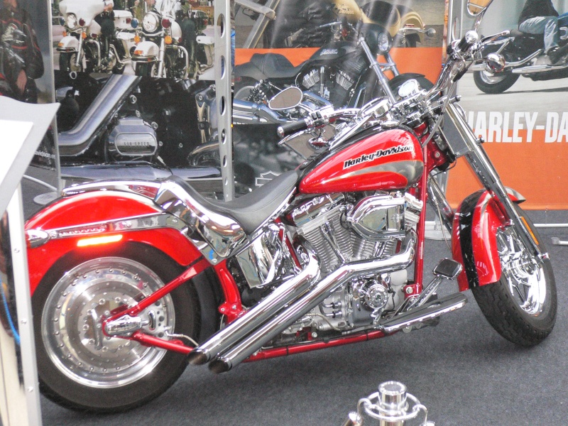 Harley Davidson P1010054