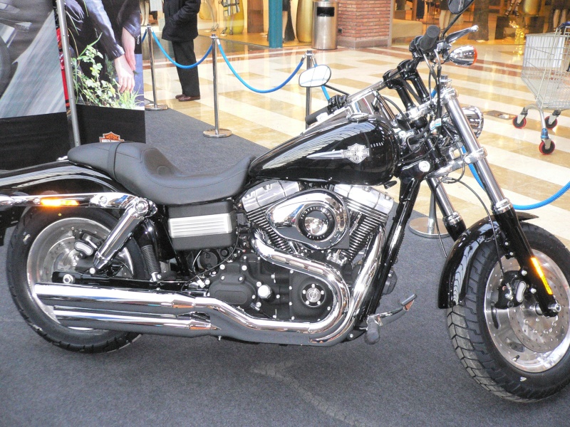 Harley Davidson P1010058