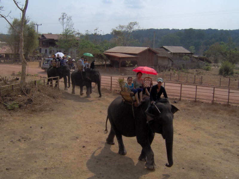 My Trip to Laos Hpim0715