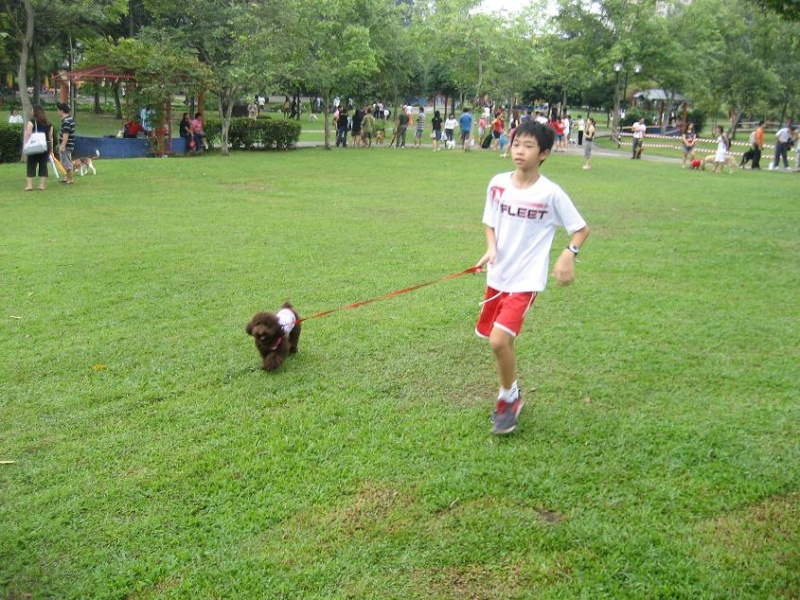 Malaysia Dog Olympic Day 2008 - Page 6 Amosin10