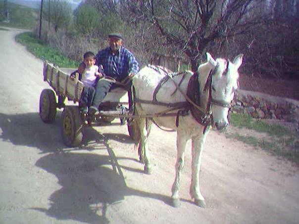 Kymze ait eitli resimler---Osmanpaa Yolu deli Tepesinden Yeilova'nn grnm... - Sayfa 2 Image012