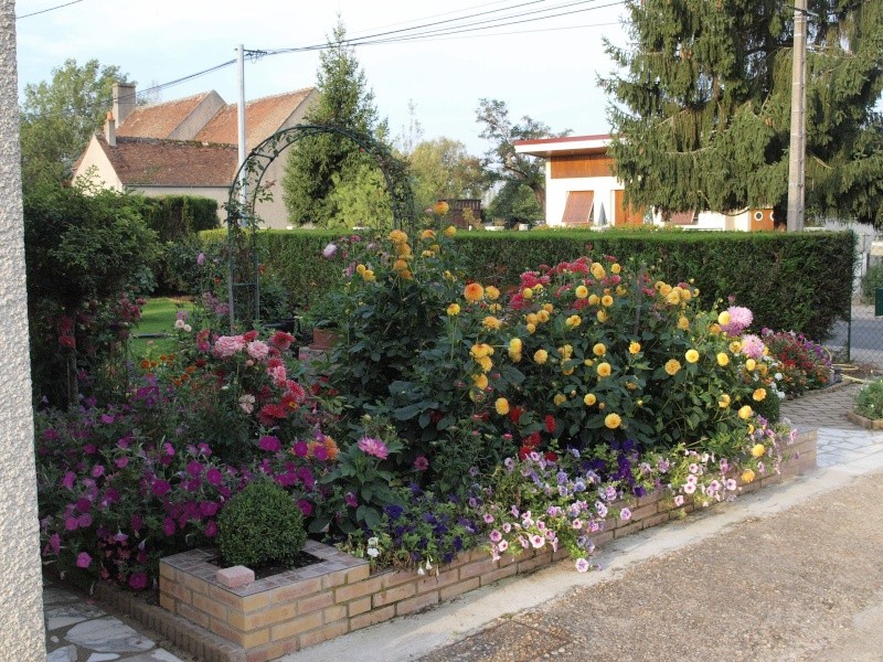 mon jardin P8224512