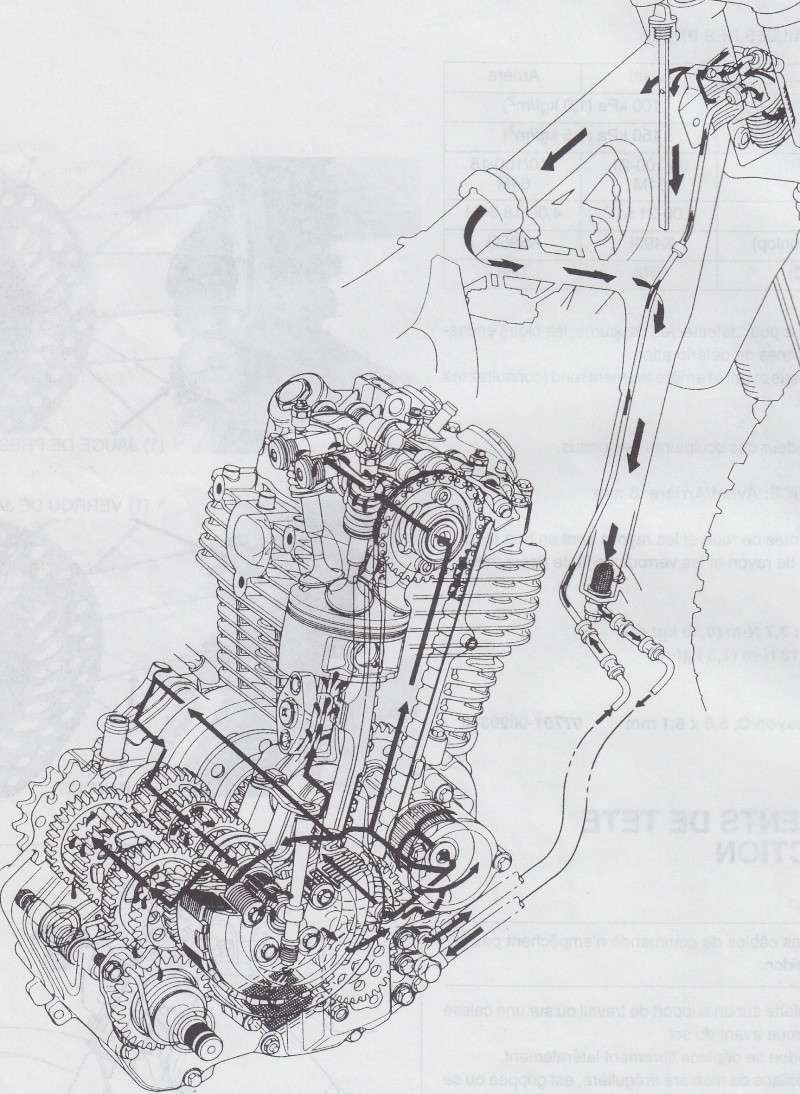 600 XLR SCRAMBLER - Page 2 P4-010