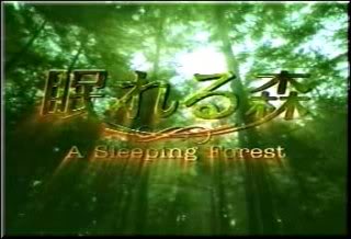 [J-Drama] A Sleeping Forest Nmori11