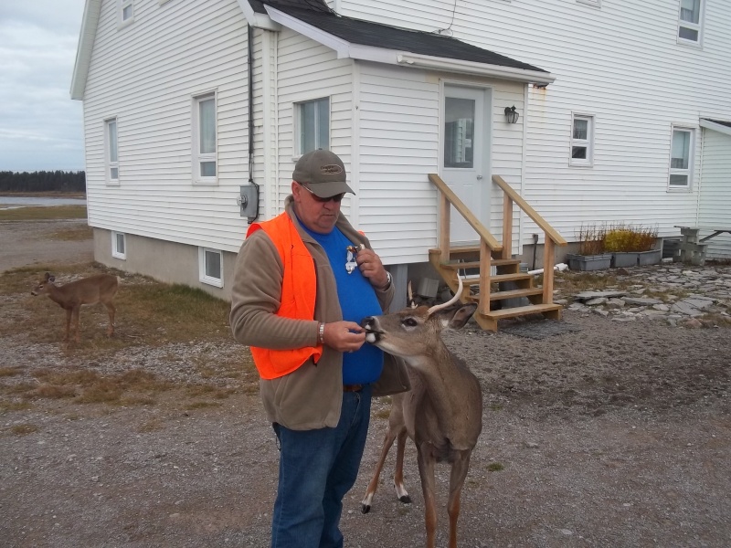 le retour d anticosti de pepet Chasse69