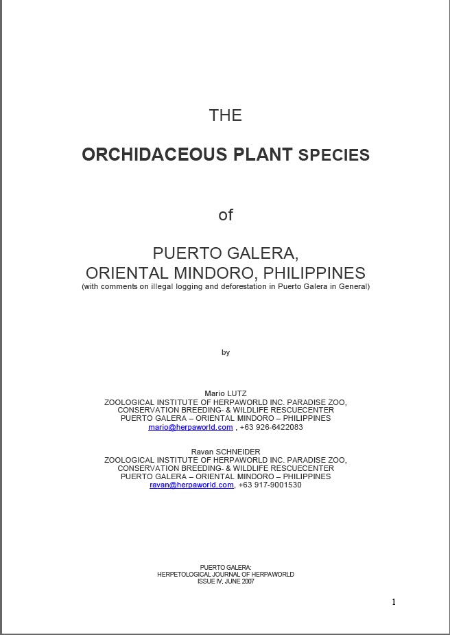 Orchidaceous Plant Species - and illegal Logging in Oriental Mindoro Orchid10