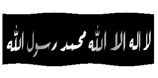 فى طريق النور