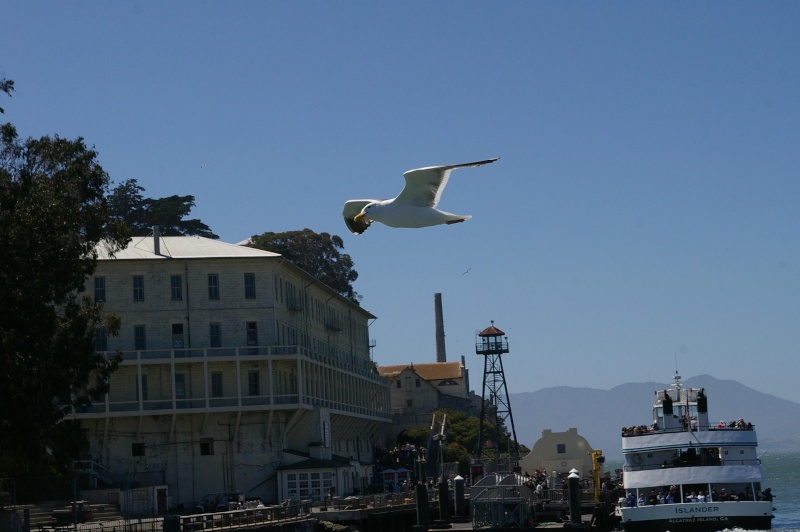 Alcatraz, San Francisco, Californie - USA Alcatr10