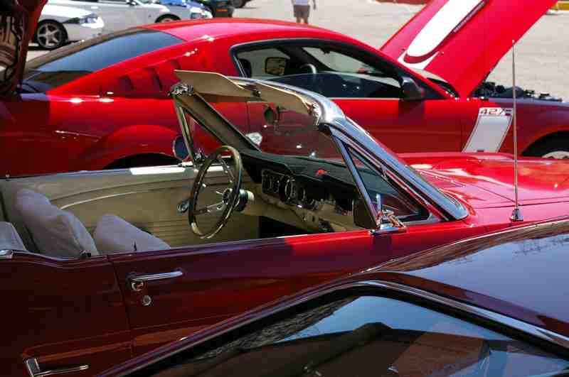 Mustang Club of Las Vegas Hoover dam 2008 exhibition Imgp0238