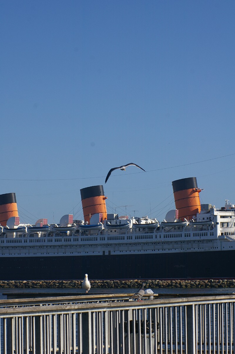 Où est la mouette de Pierrex? Q110