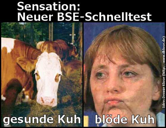 Spammspiel Nr. 3  (google bilder) Merkel10