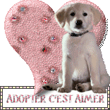birdy chichi poil long ( en essai ) Koqrmp10