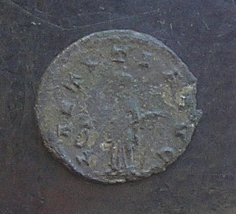 romaine en billon P1010517