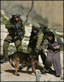 أسيراتنا الفلسطينيات في سجت تلموند .... ظروف قاسية و موت بطيء Isreal10