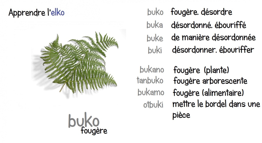 Elko - Fiches illustrées - Page 10 Buko10