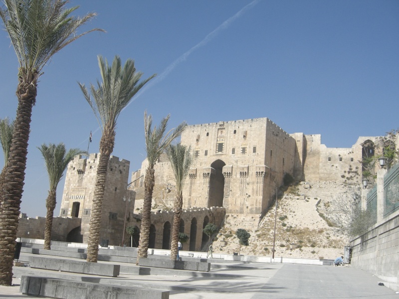 die Zitadelle von Aleppo Cimg5412