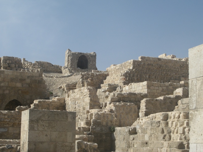 die Zitadelle von Aleppo Cimg5413