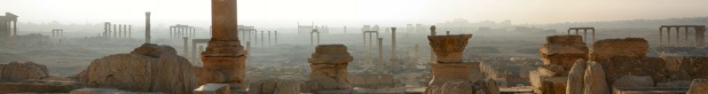 Palmyra Palmyr10