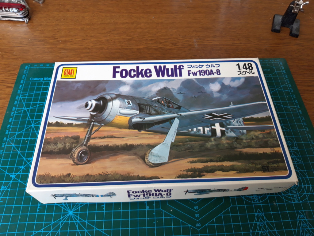 Maquette FW-190A-8 ''Flag'' 1/48 20190710