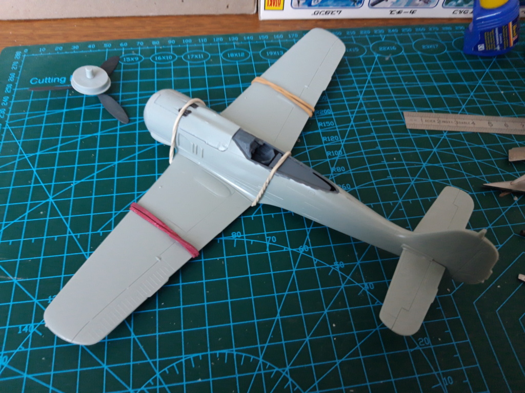 Maquette FW-190A-8 ''Flag'' 1/48 20190732