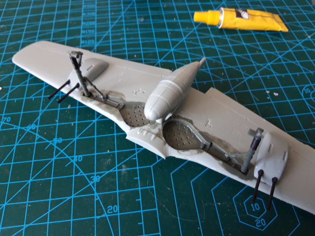 Maquette FW-190A-8 ''Flag'' 1/48 20190746