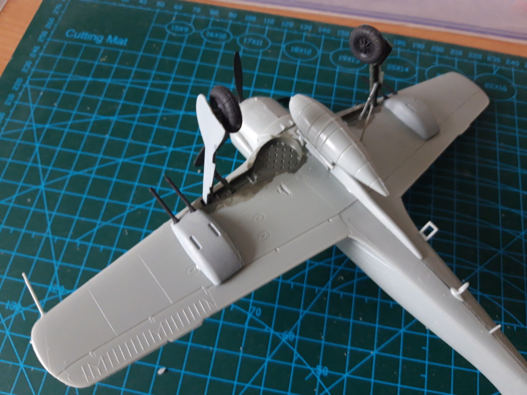 Maquette FW-190A-8 ''Flag'' 1/48 20190749