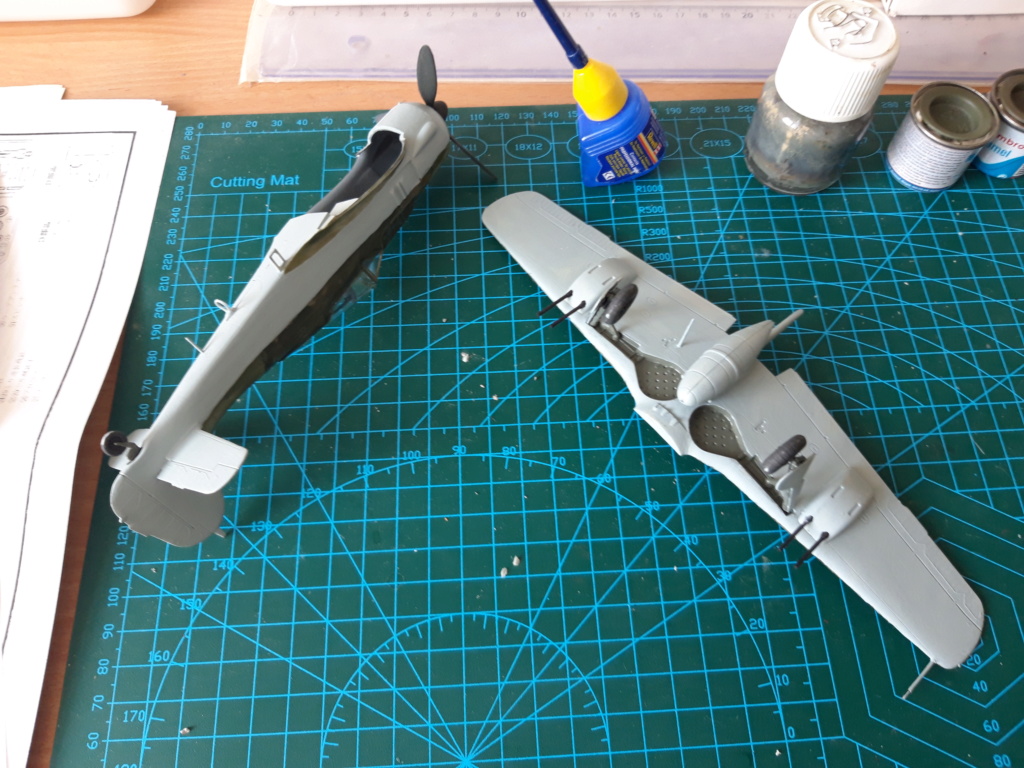 Maquette FW-190A-8 ''Flag'' 1/48 20190755